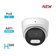 IP видеокамера Sowa K223-19P