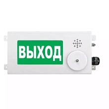 Табло световое взрывозащищенное Спектрон ТСВ-Exm-М-Прометей-МИНИ 12-36В "Автоматика отключена" Б/К