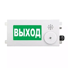 Табло световое взрывозащищенное Спектрон ТСВ-Exm-M-Прометей-МИНИ 220В "Выход" Б/З